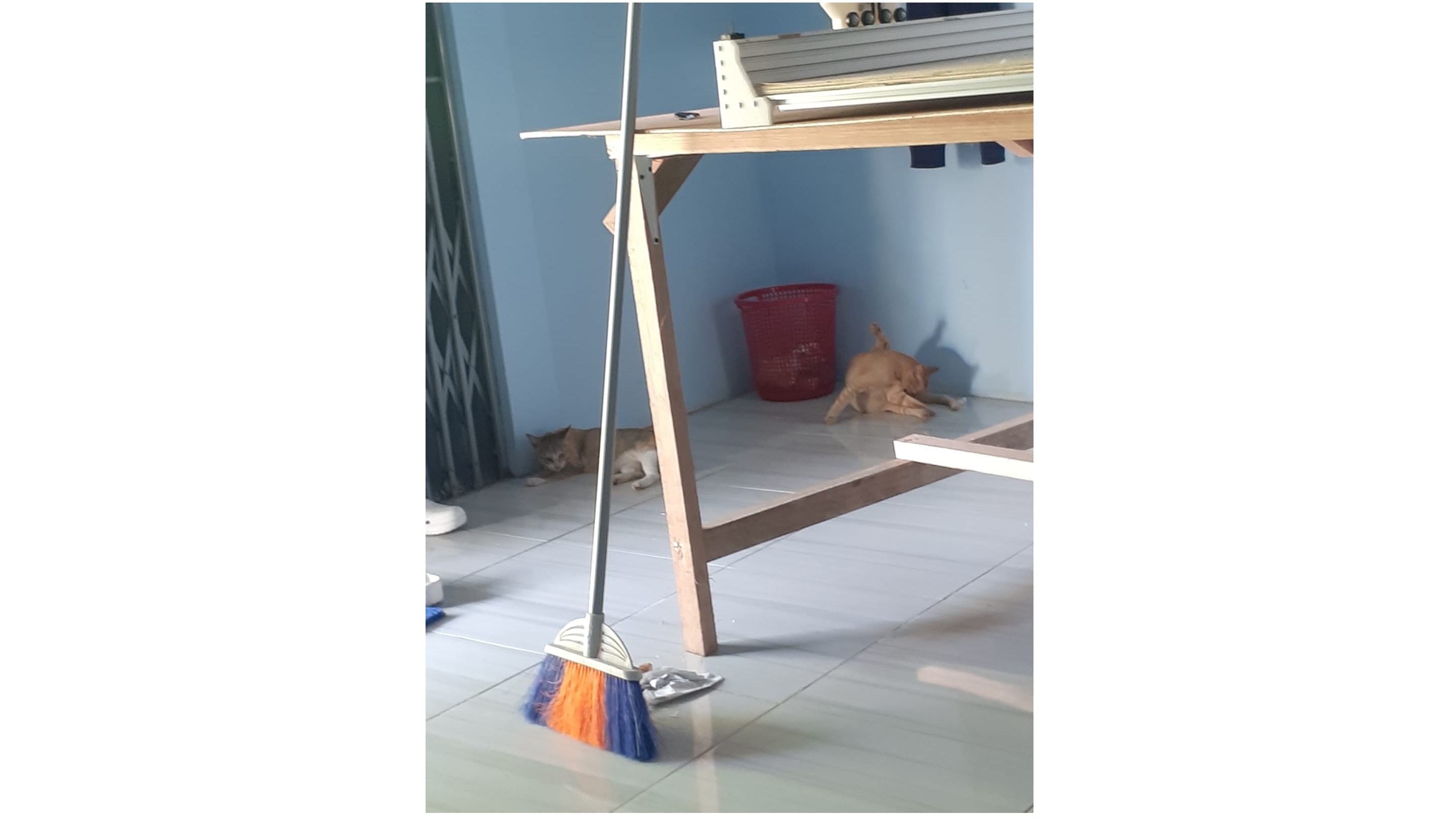 kawan penghilang stress